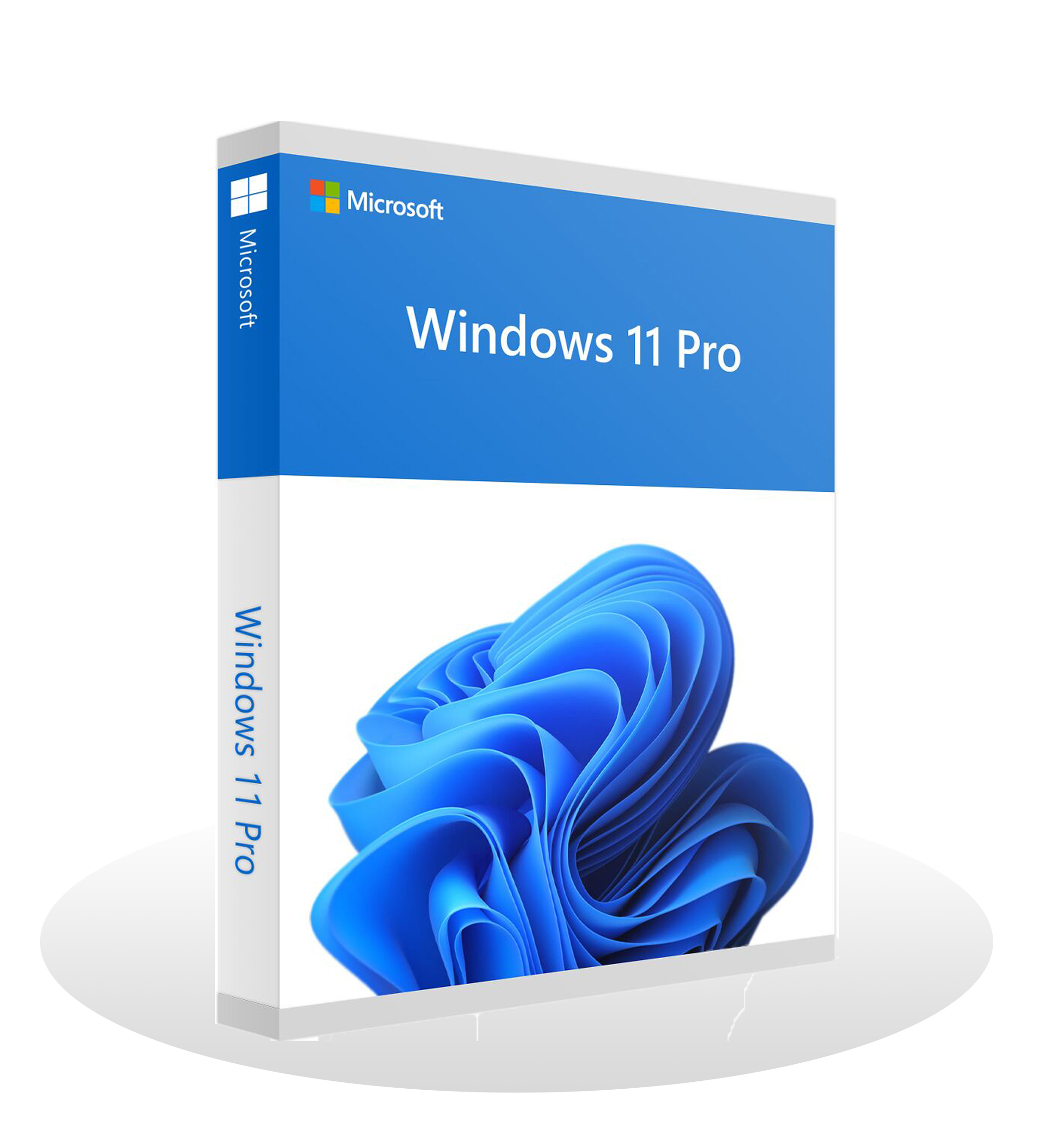 Microsoft Windows 11 Professional (Lifetime License)