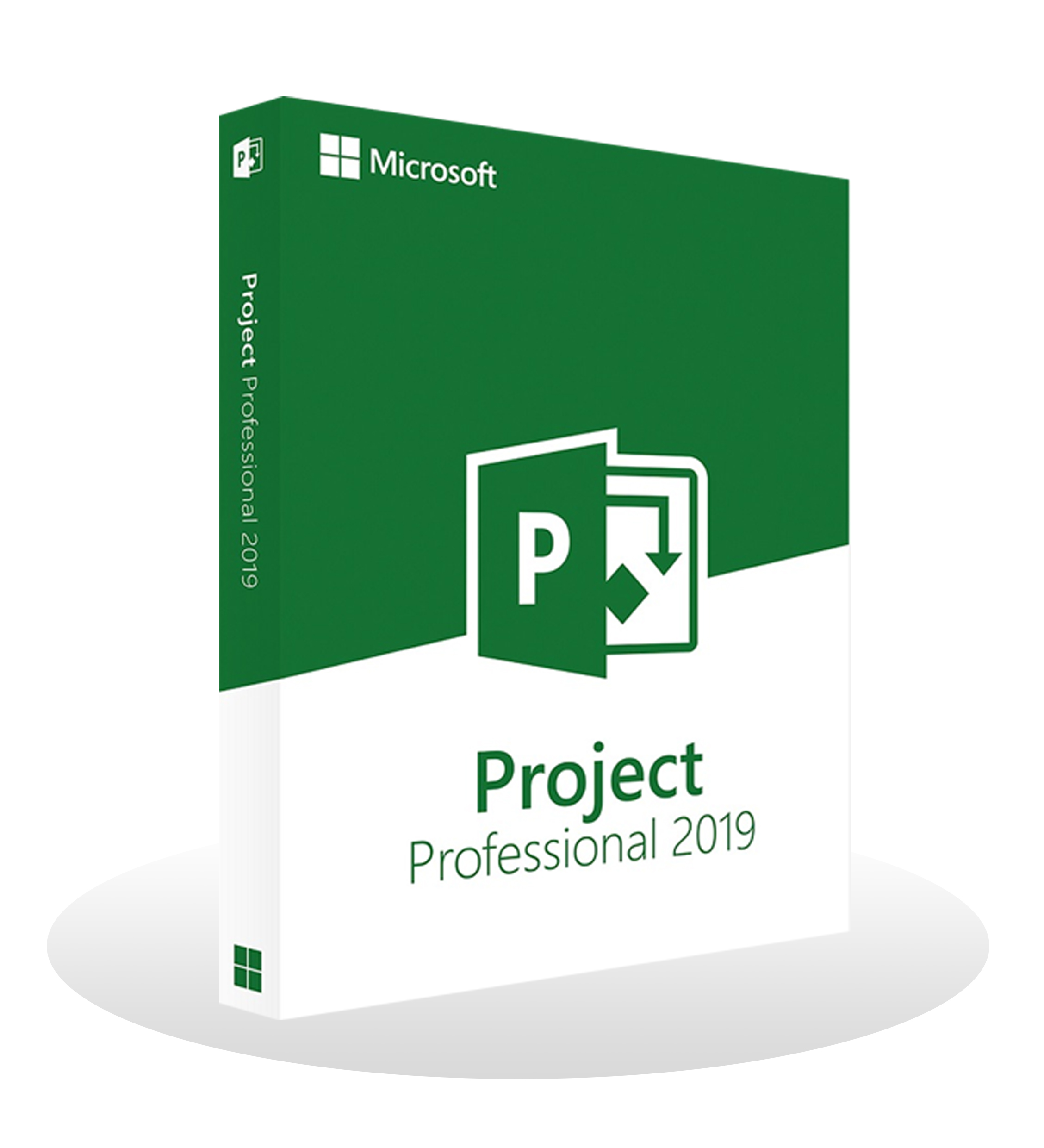MS Project Professional 2019 Full Version (Lifetime License)