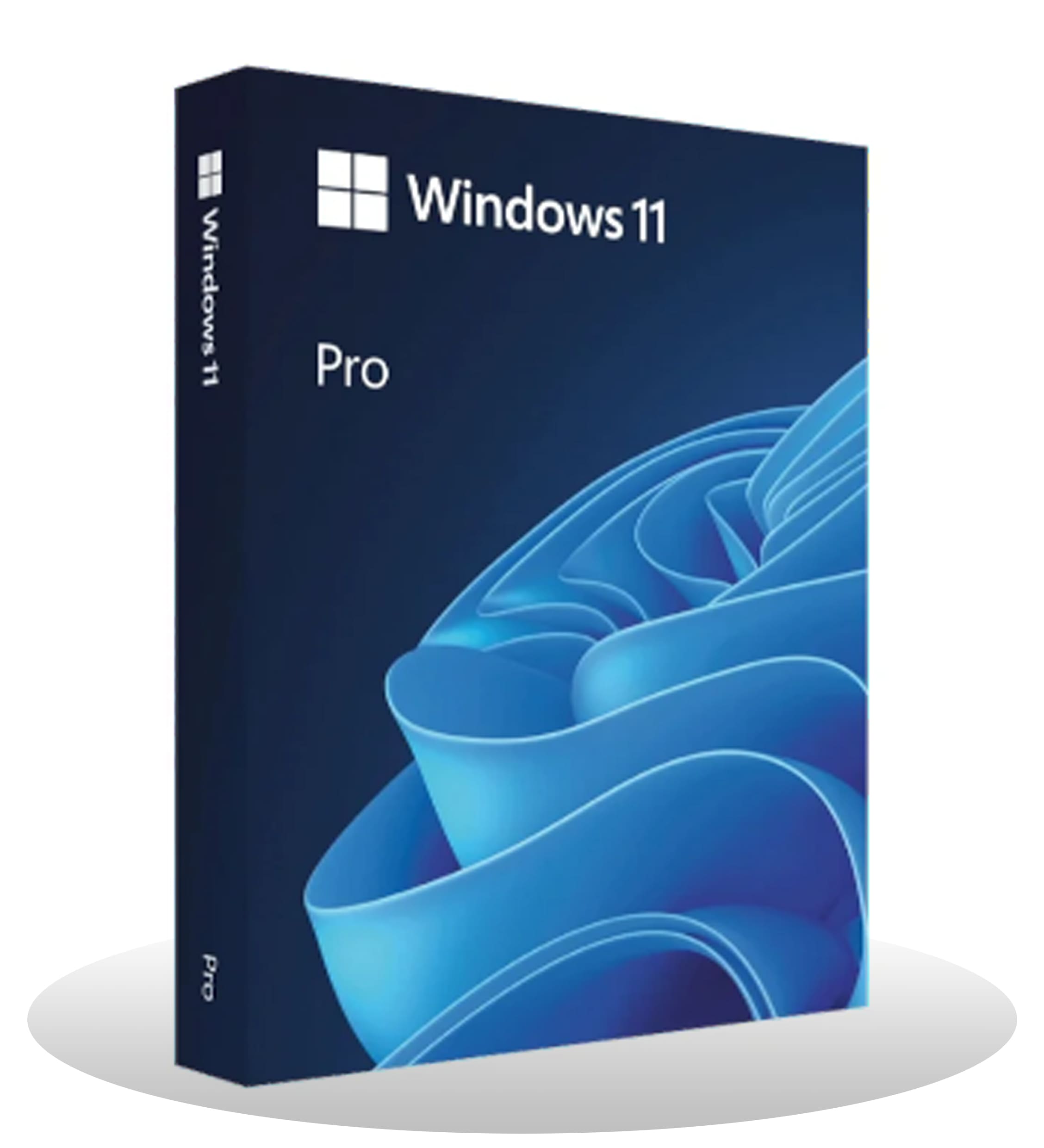 Windows 11 Professional Lite (Lifetime License)